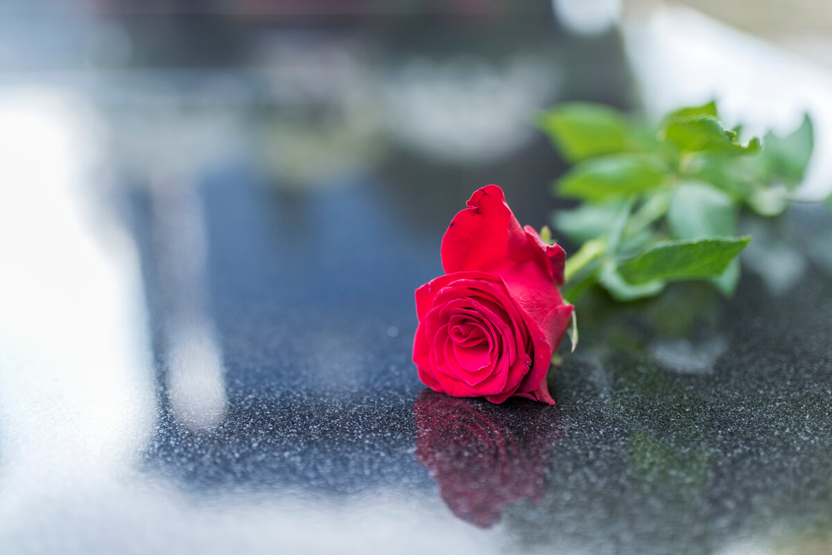 Rose på gravsten.jpg